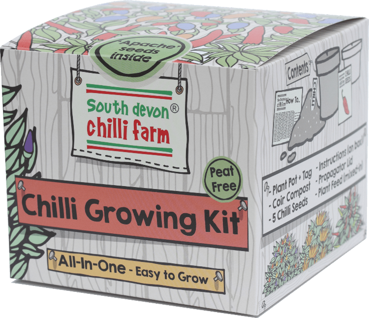 Chilli Growing Kit