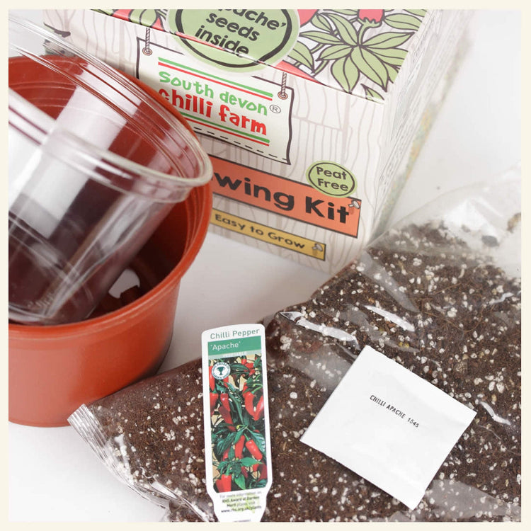 Chilli Growing Kit